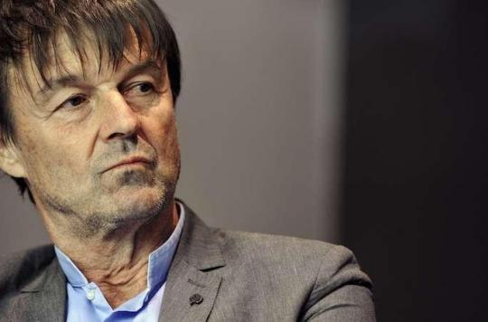 Glyphosate: Nicolas Hulot wants to reassure farmers