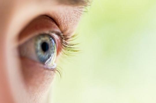 How does the brain react to sight loss? 