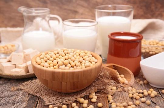 Soy consumption and increased risk of breast cancer, the controversy