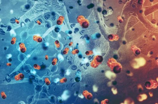 Cancer: treating it using the cell’s self-destruction mechanism