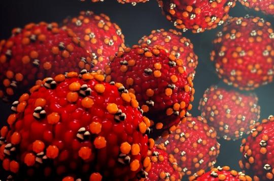 Coronavirus: viruses, microbes, bacteria... what are the differences? 