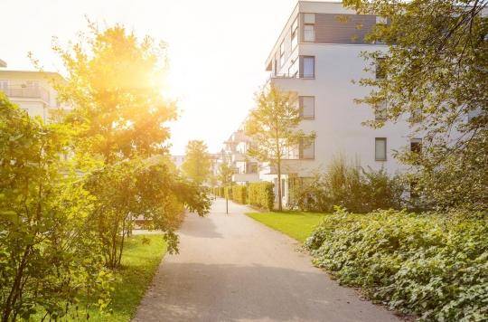 Growing up near green areas improves IQ and makes you calmer