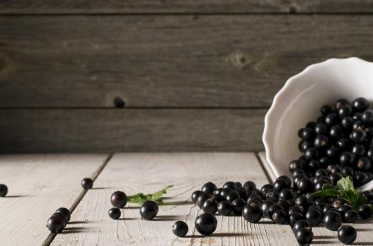 Type 2 diabetes: eating blackcurrant balances the glycemic response