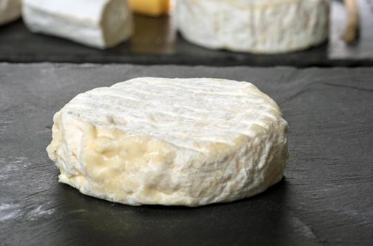 E.coli: recall of Saint-Marcellin and Saint Félicien cheeses after the contamination of 13 children