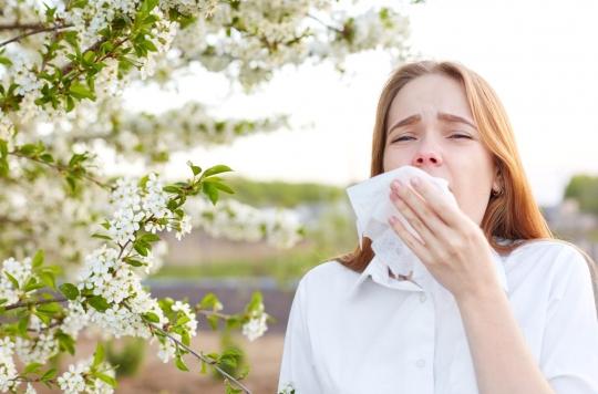 Pollen allergies: here are the good reflexes to adopt