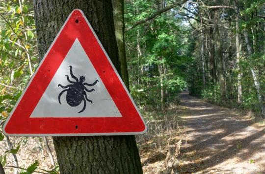 Lyme disease: in the United States, have ticks been used as a biological weapon?