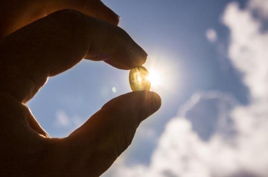 Sunlight changes our gut microbiome