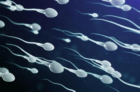 COP26: how polluted air reduces sperm count