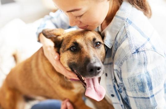 Your dog is able to tell if you are stressed