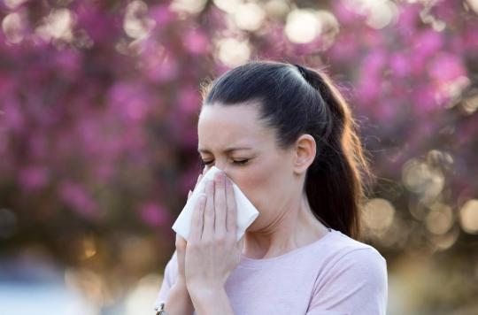 Respiratory allergy: climate change amplifies the pollen season