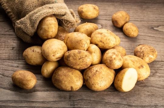 Antibiotic resistance: could the potato be our saviour?