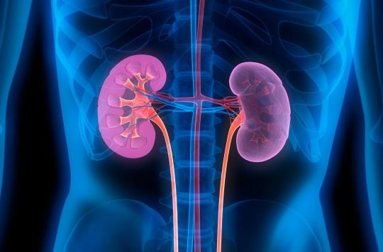 Kidney disease: some people are more at risk from birth