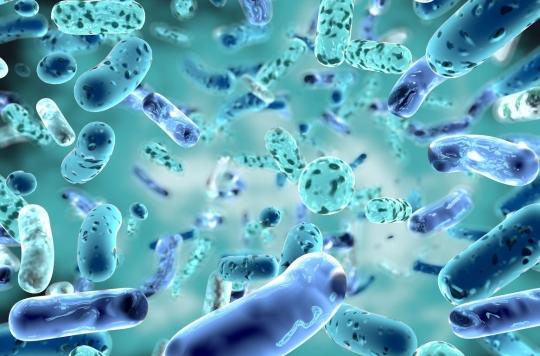 Strong impact of e-coli in the decline of resistant bacteria infections in 2020