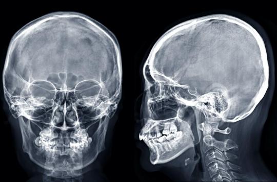 A new organ discovered in the human skull