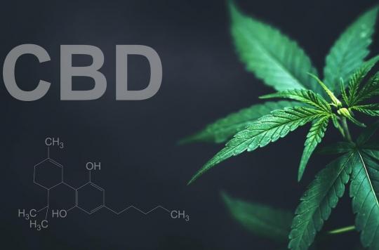 CBD for pain: effective or placebo?