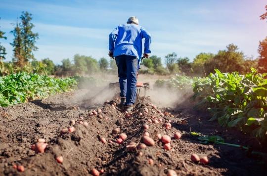 Cancer: farmers on the front line