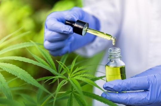 Epilepsy: cannabis has many anti-convulsion properties