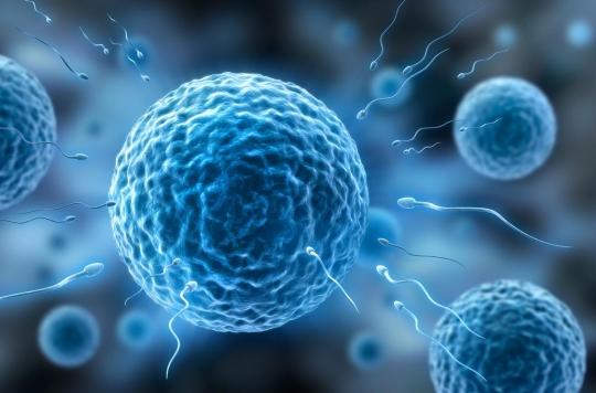 Infertility: how human eggs select sperm 