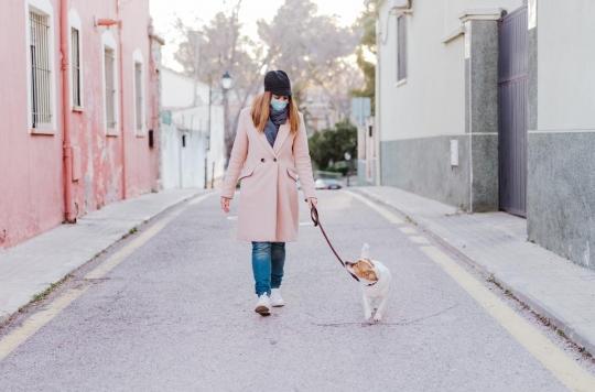 Climb the stairs or walk your dog to live longer