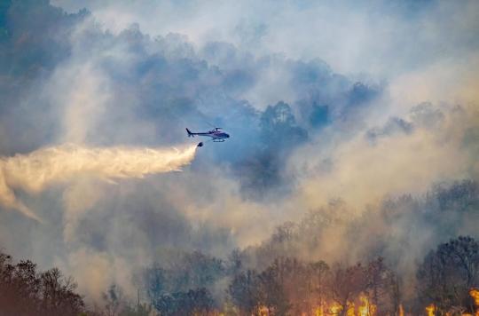 Wildfire smoke contributes to the spread of infectious diseases