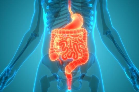 Respiratory failure: can we breathe through our intestines?