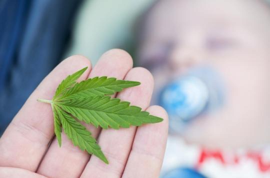 Mothers use cannabis… to be cooler with their children!