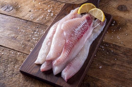 Fish reminder: how to avoid contracting listeriosis?