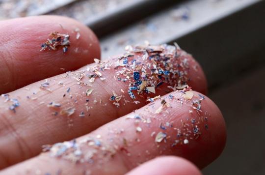 Microplastics: what damage to our health?