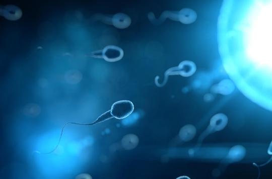 Fertility: an alert study on the alarming decline in the number of spermatozoa