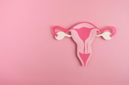 In France, a uterus transplant was successfully performed for the second time