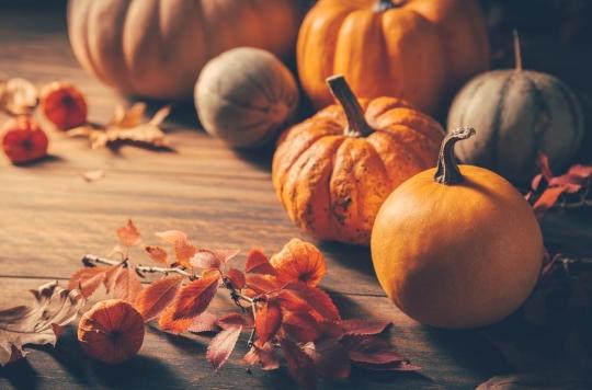 Nutrition: the health benefits of pumpkin