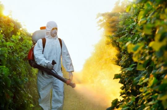 Pesticides: chlorpyrifos may play a role in obesity 