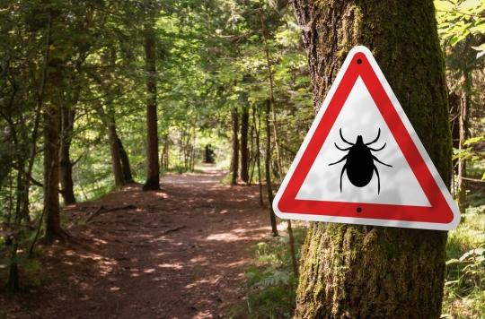 Lyme disease: 5 places where you risk being bitten by ticks