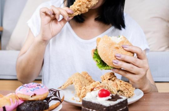 Junk food: the brain’s fault?