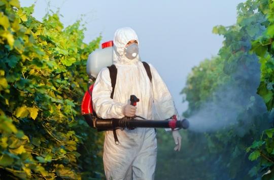 Pesticides: the effectiveness of farmers' protections called into question