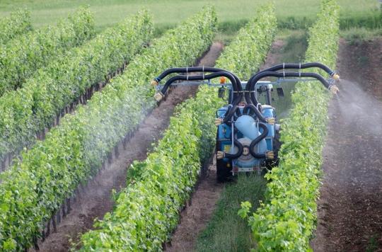 Pesticides: two farmers’ brain tumors recognized as an occupational disease