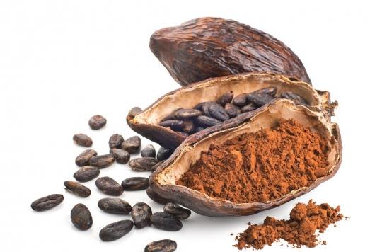 Cocoa: a component of its beans would stimulate memory