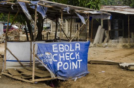 Ebola survivors have severe immune system abnormalities two years later 