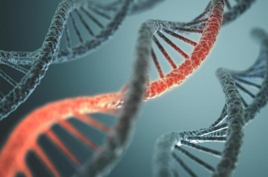 Cancer: one in eight patients has a hereditary genetic mutation