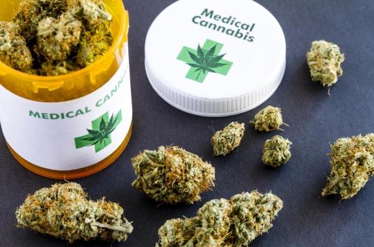 Therapeutic cannabis: experimentation will begin in 2020