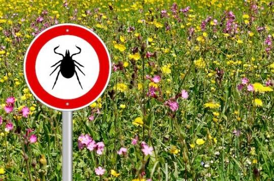 Lyme disease precautions should be taken