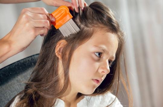 Back to school: how to get rid of lice?