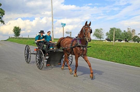 Impact of 5G on health: what if the Amish were right?