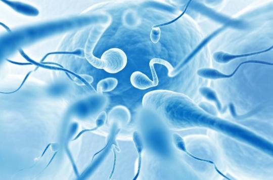 Covid-19: severe forms would have effects on male fertility