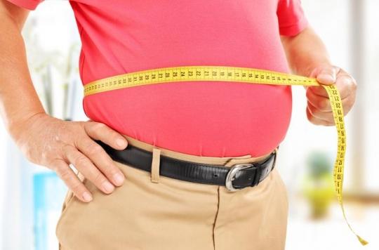 Obesity may be associated with reduced brain size