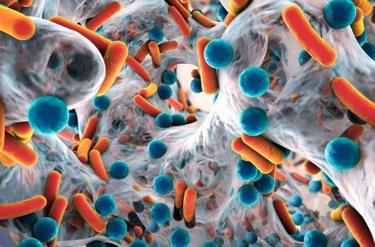 Ten million deaths per year in 2050: resistance to antibiotics, the next health catastrophe?