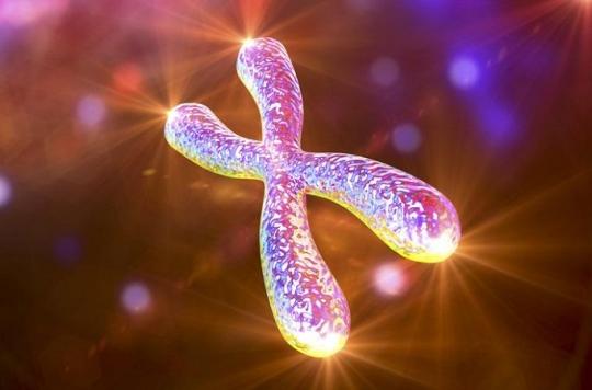 Our eternity is decided in the telomeres