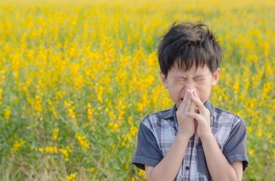 Allergies: almost all of France on orange alert for grass pollen