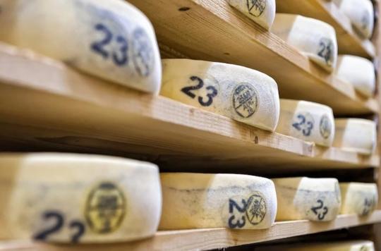 Salmonella: contaminated cheeses from Morbier and Mont-d’Or killed 10 people between 2015 and 2016