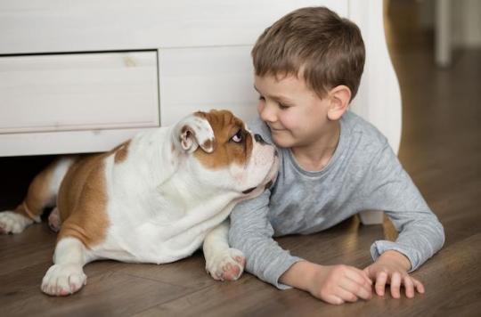 The dog helps the treatment of children with language impairment